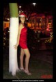 /album/especial-de-natal/dsc-9470-jpg/